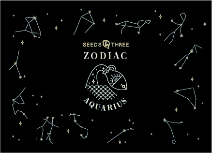 Basic Essence Zodiac Kit for Aquarius