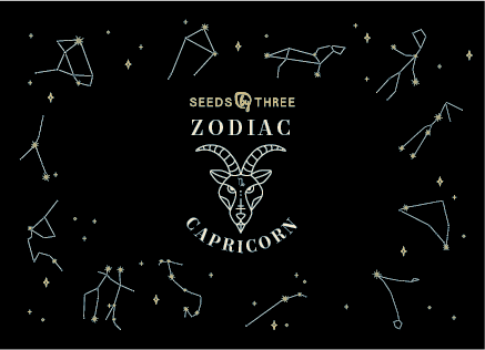 Basic Essence Zodiac Kit for Capricorn