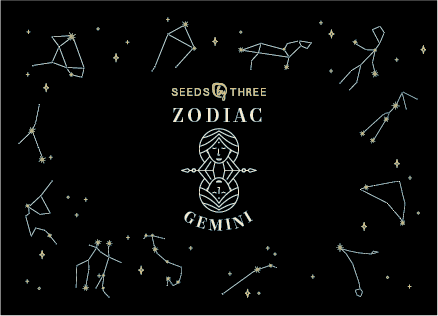 Basic Essence Zodiac kit for Gemini