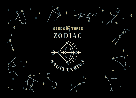 Basic Essence Zodiac Kit for Sagittarius