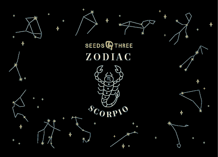 Basic Essence Zodiac Kit for Scorpio